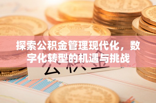 英山探索公积金管理现代化，数字化转型的机遇与挑战