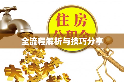 英山全流程解析与技巧分享